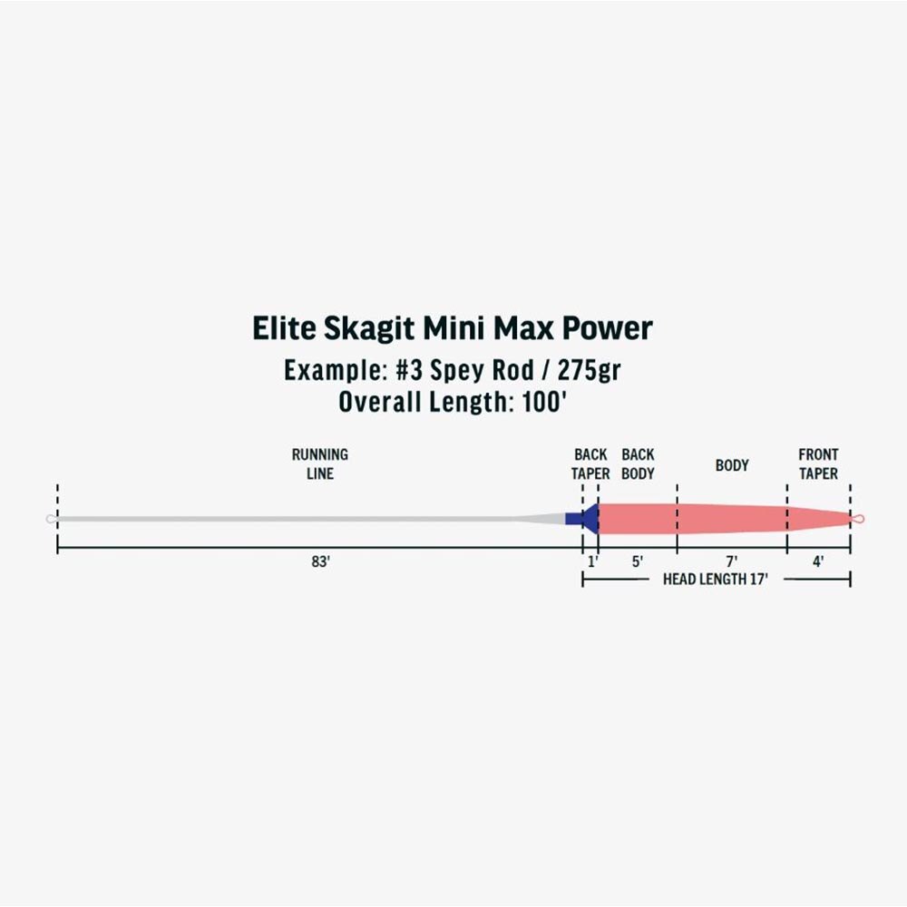 Rio Elite Skagit Mini Max Fly Line